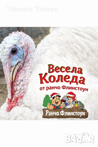 продавам пуйчета на 40 дни, снимка 4 - Кокошки и пуйки - 46259062