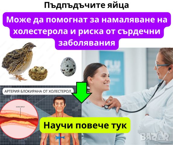 Пъдпъдъчи яйца - намаляват холестерола и риска от сърдечни заболявания - яйца от пъдпъдък, снимка 1 - Домашни продукти - 45439706