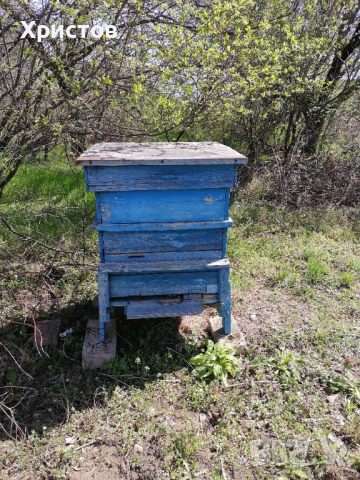Продавам пчелни кошери , снимка 3 - За пчели - 45053425