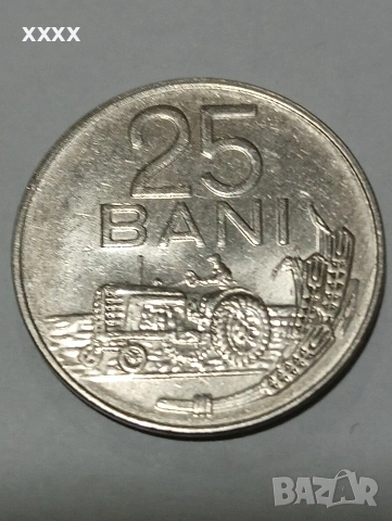 25 BANI