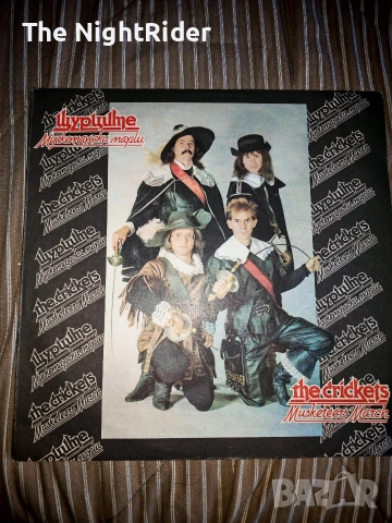 Грамофонни плочи Мадона Тодор Колев Лз и др. , снимка 8 - Грамофонни плочи - 53086996