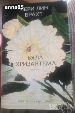 Бяла хризантема 