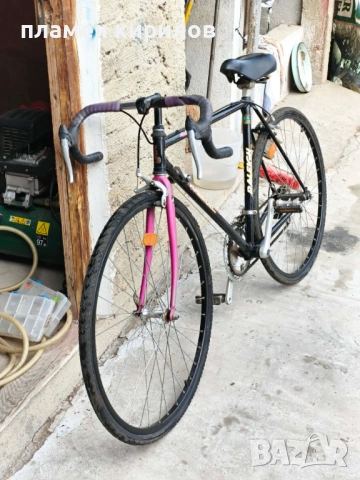 Ralleyh --карбонов бегач