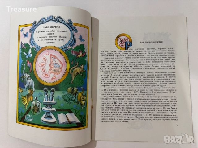 Увиденное невидимое - М. Аспиз, снимка 7 - Енциклопедии, справочници - 48752633