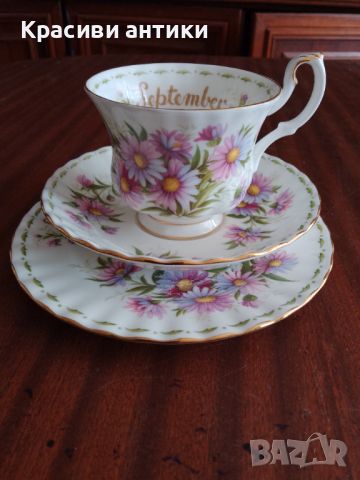 Royal Albert, Flowers of the month, колекционерски сет от фин костен порцелан , снимка 1 - Антикварни и старинни предмети - 46769824