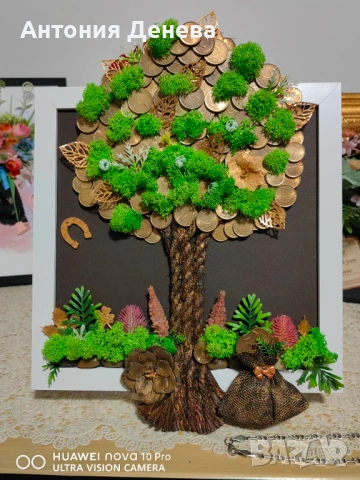 Дървото на парите и късмета 