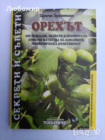 Орехът , снимка 1