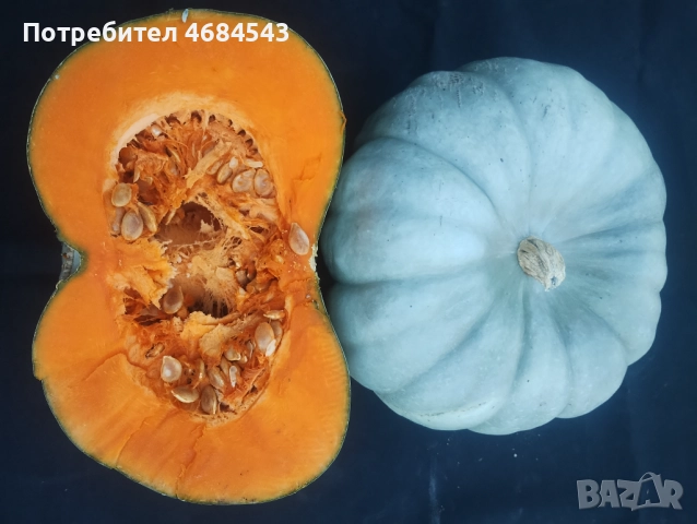 Тикви, снимка 4 - Домашни продукти - 52811884