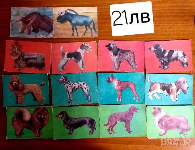 Календарчета. Серии, снимка 3 - Колекции - 50274217