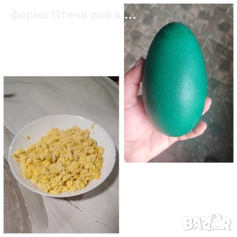 яйца от ему
