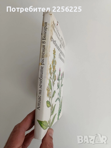 Атлас на лечебните растения в България, снимка 6 - Специализирана литература - 52919417