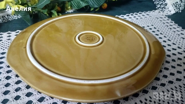 Тортиера прекрасна, снимка 3 - Чинии - 53893836