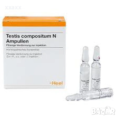 Testis compositum/тестис композитум/