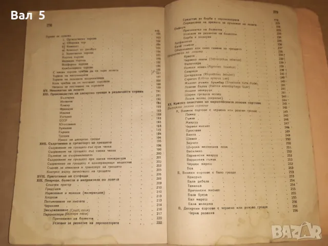 Ръководство по лозарство 1948 г, снимка 8 - Специализирана литература - 49088530