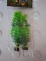 продавам аквариумни растения., снимка 1