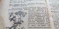 Лечебни растения употребявани въ народната медицина Съ 75 илюстрации въ текста - Н. Балтаджиев, снимка 11