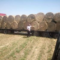 Продавам люцерна със сено на ролони бали регион Пазарджик тел 0879056652, снимка 1 - Други - 45304451