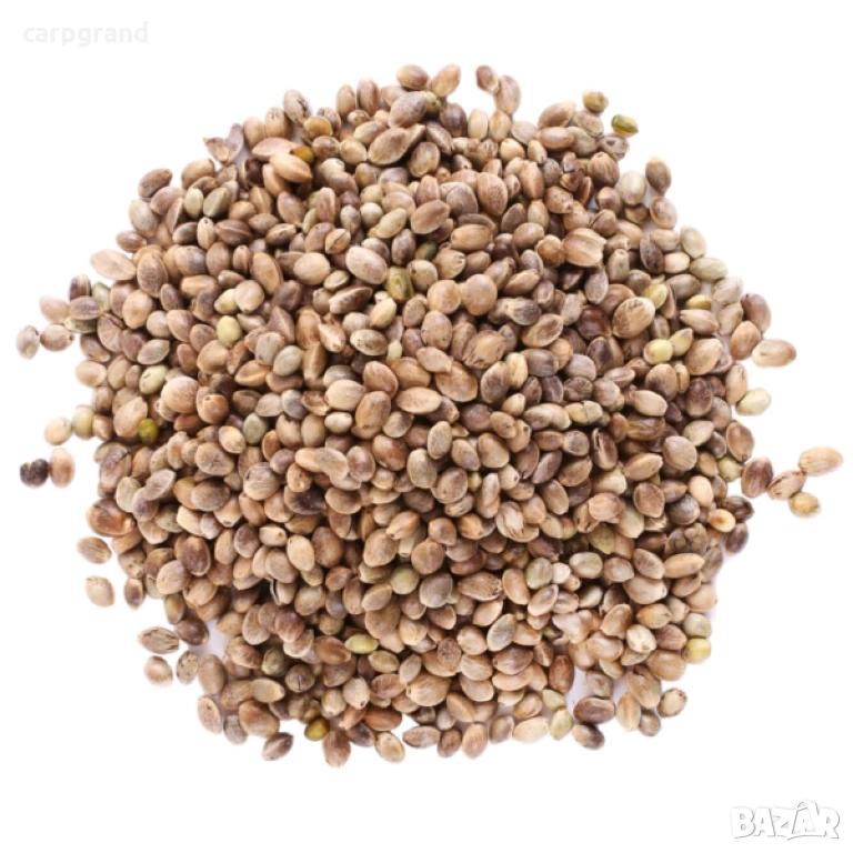 Коноп конопено семе за риболов, снимка 1