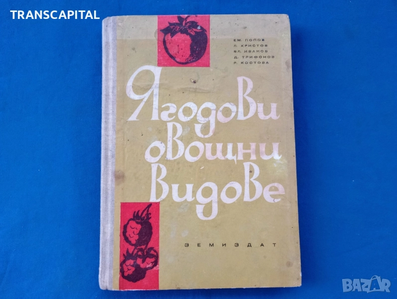 Ягодови овощни видове , снимка 1
