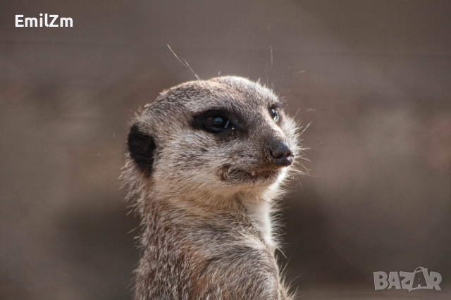 Фотоапарат Canon 350D, снимка 8 - Фотоапарати - 52166517