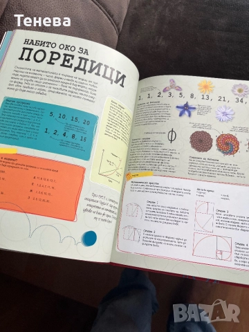 Книга “Математически гении”, снимка 3 - Детски книжки - 51568752