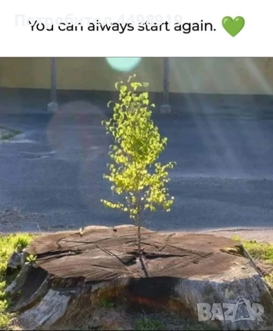 Личен треньор , снимка 2 - Други услуги - 50614770