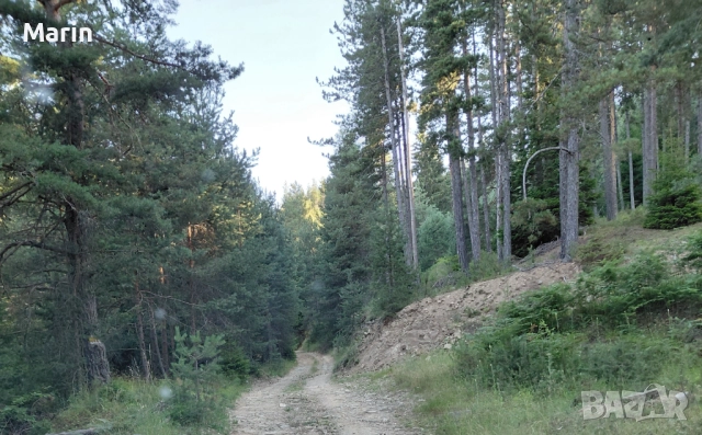 Копувам Гори , снимка 2 - Земеделска земя - 52951381