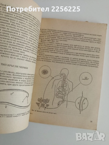 Зоология с основи на екологията, снимка 4 - Специализирана литература - 52170120