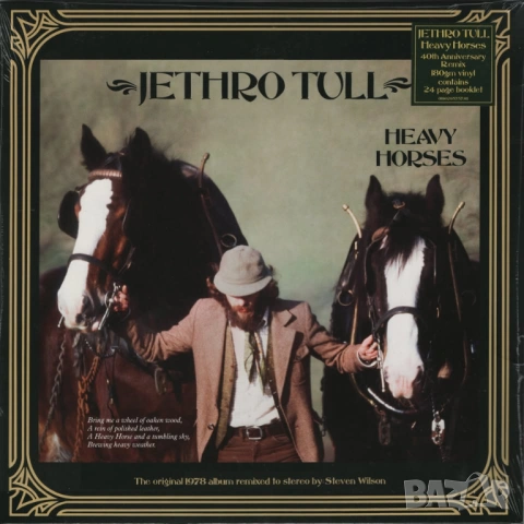 Jethro Tull, снимка 2 - Грамофонни плочи - 53786989