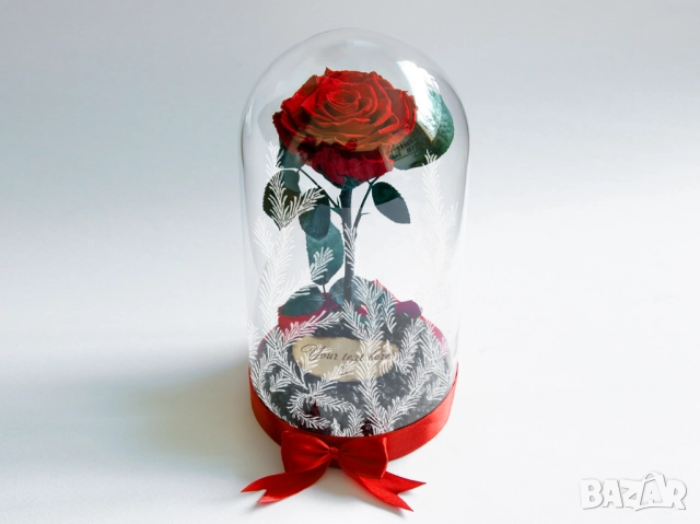 Естествена Вечна Роза в Голяма Стъкленица - Оригинален и Персонализиран Коледен Подарък за Жена, снимка 6 - Коледни подаръци - 52529250