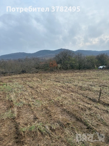 Продавам. Три. парцела, снимка 3 - Парцели - 54269021