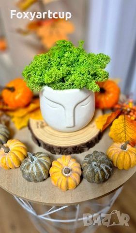 Кашпа със скандинавски мъх , снимка 3 - Арт сувенири - 52339040