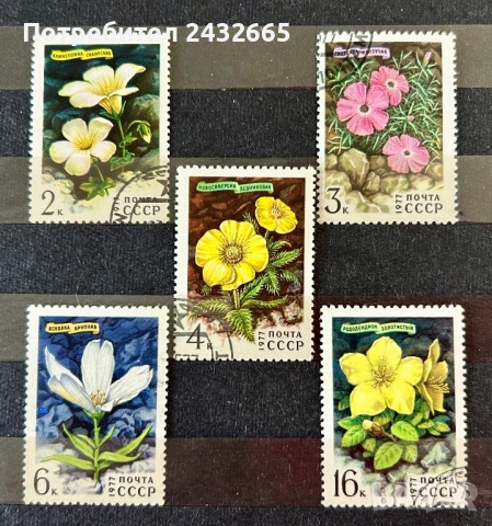 1020. СССР 1977 = “ Флора. Сибирски цветя ” 