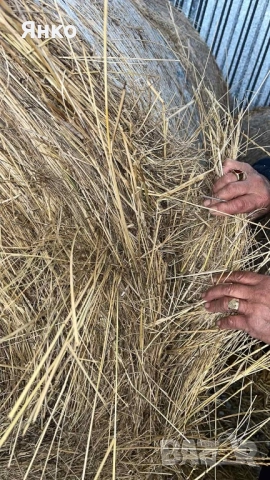 Бали слама и сено рулонни, снимка 5 - За селскостопански - 52337096