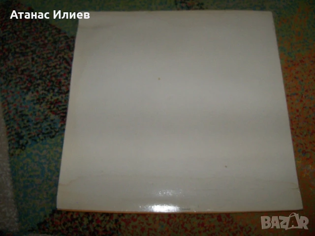 Nueva canción chilena - Нова чилийска песен, снимка 2 - Грамофонни плочи - 51151973