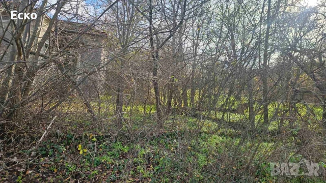 Парцел с. Одринци 2400м2, снимка 6 - Парцели - 53575856