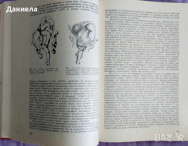 Акушерство- Ил.Щъркалев,Л.Ламбрев, снимка 3 - Специализирана литература - 45140904