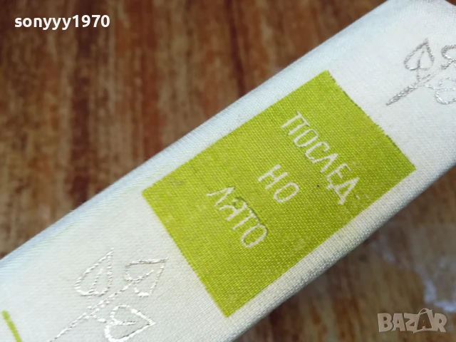 ПОСЛЕДНО ЛЯТО-РОМАН 2507250827, снимка 8 - Художествена литература - 51135584