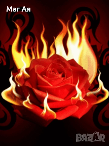  АЯ-Реши проблемите днес, за да живееш спокойно утре. 