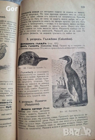 100-годишна антикварна ценност: „Зоология“ (1926) – Изд. Хр. Г. Данов, снимка 11 - Нумизматика и бонистика - 53723683