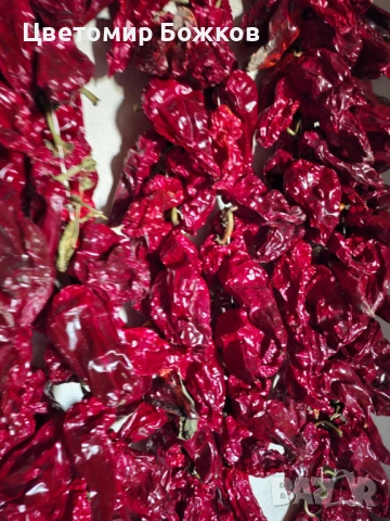 🌶️ Домашни сушени червени чушки – истински вкус от градината! 🌶️ НА ЕДРО!!!, снимка 12 - Домашни продукти - 52280937