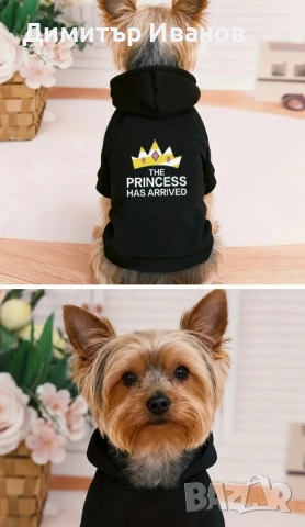 Модерни дрехи за кучета: Суичъри (Худита) с надписи, Пуловер (S, M), снимка 8 - За кучета - 52574699