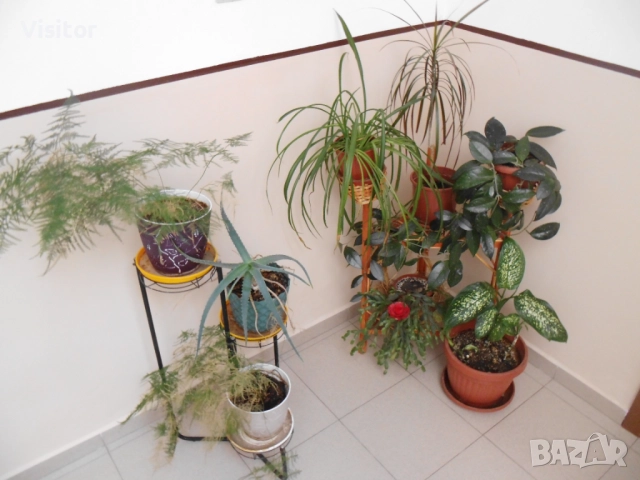 фотоапарат MAGINON Z1600 - 16.1 MPx, снимка 16 - Фотоапарати - 52429048