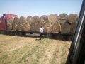 Продавам люцерна със сено на ролони бали регион Пазарджик тел 0879056652
