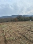 Продавам. Три. парцела, снимка 3