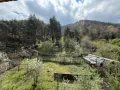 Триетажна къща за продажба в село Коларово, община Петрич , снимка 17