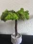 Уникални ръчно изработени дръвчета/бонсаи от скандинавски мъх, снимка 4