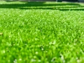 Бургас - Изкуствена трева на 2м и 4м, снимка 1