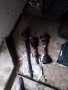 Полуоски за Мерцедес Вито , снимка 2