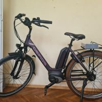 Електрическо колело Gepida Reptila , снимка 1 - Велосипеди - 45353560